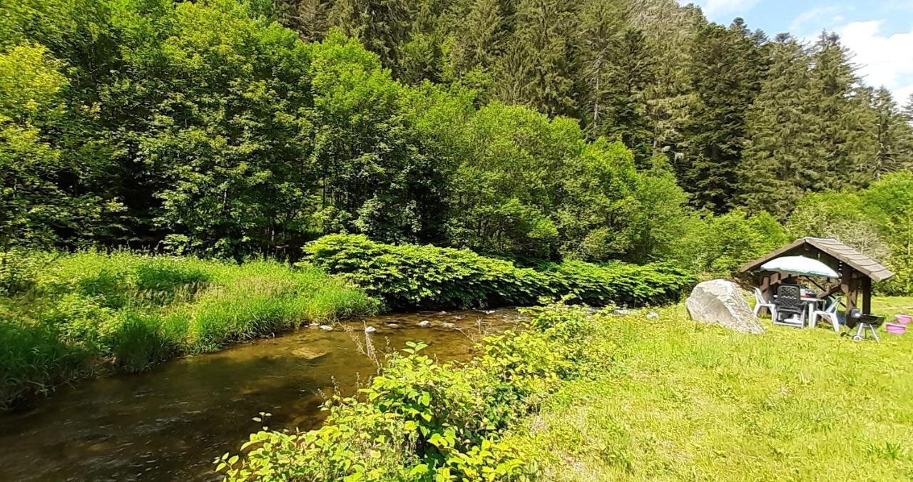Appartamento La Perle au bord de la rivière Gérardmer Esterno foto