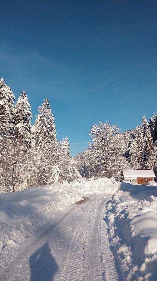 Appartamento La Perle au bord de la rivière Gérardmer Esterno foto