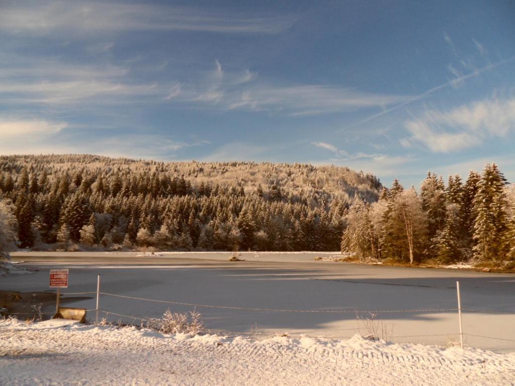 Appartamento La Perle au bord de la rivière Gérardmer Esterno foto