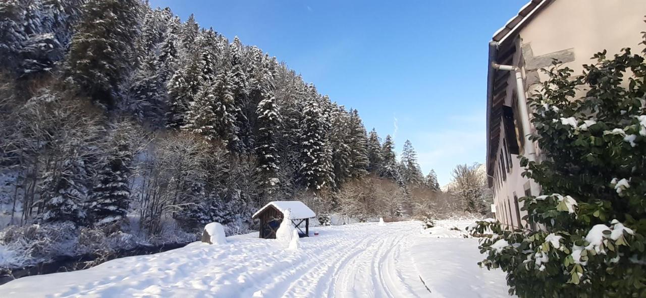 Appartamento La Perle au bord de la rivière Gérardmer Esterno foto