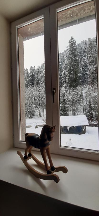 Appartamento La Perle au bord de la rivière Gérardmer Esterno foto